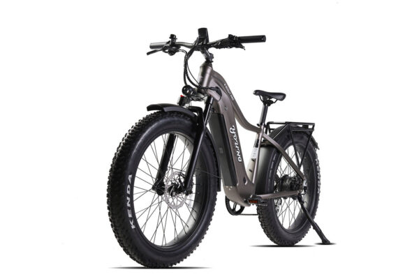 E-Scout Pro Off-Road E-Bike (Glossy Black)